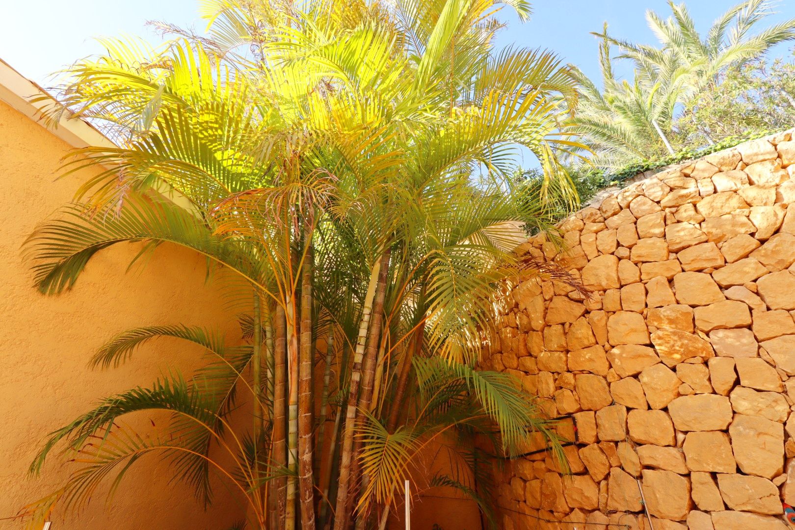 Villa for Sale in Altea, Alicante