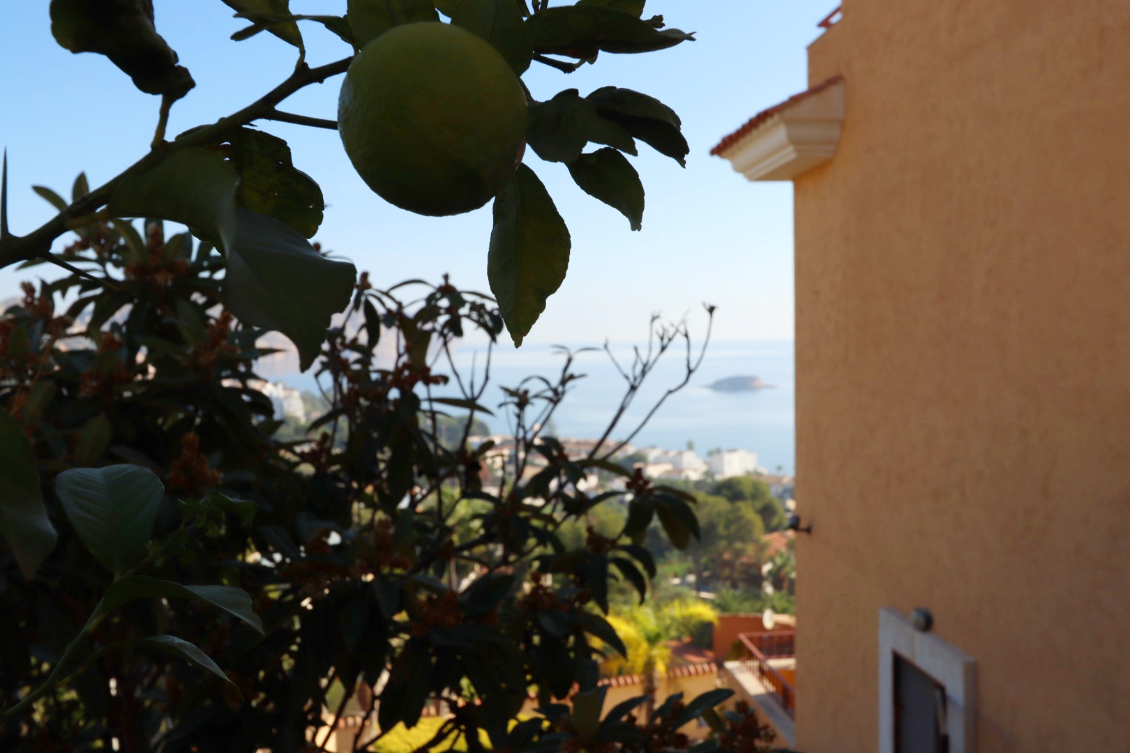 Villa for Sale in Altea, Alicante