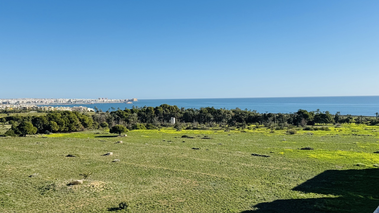 Penthouse for Sale in Punta Prima, Alicante