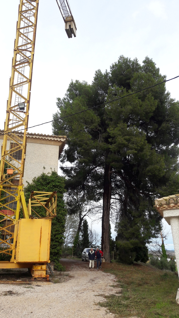 Country House for Sale in Caravaca de la Cruz, Murcia