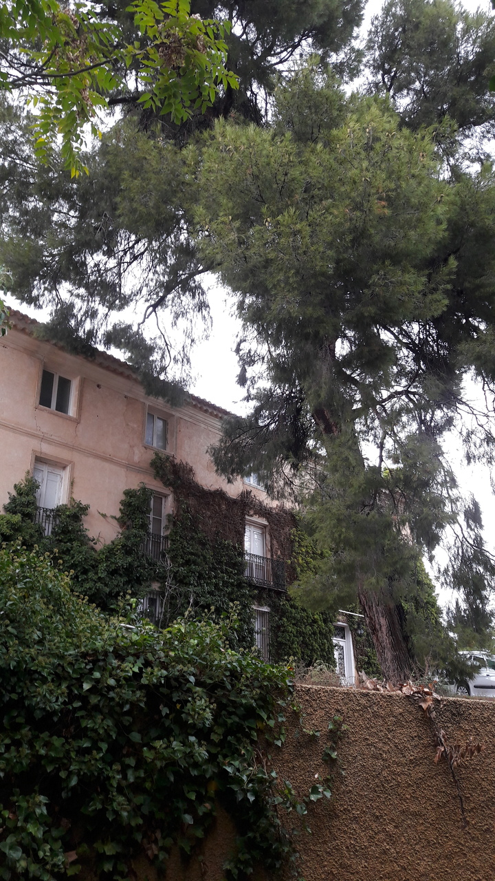 Country House for Sale in Caravaca de la Cruz, Murcia