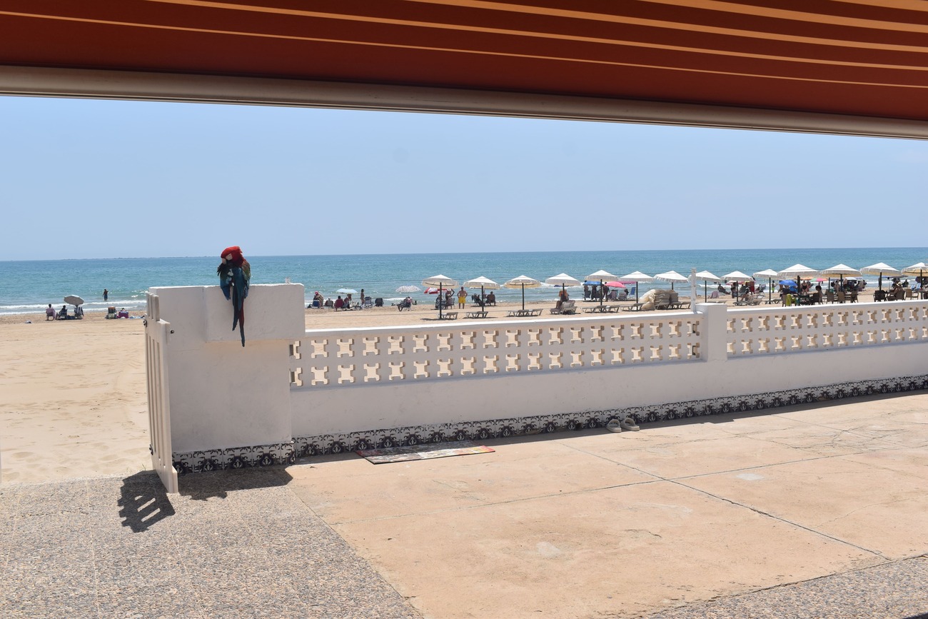 Villa for Sale in Guardamar del Segura, Alicante