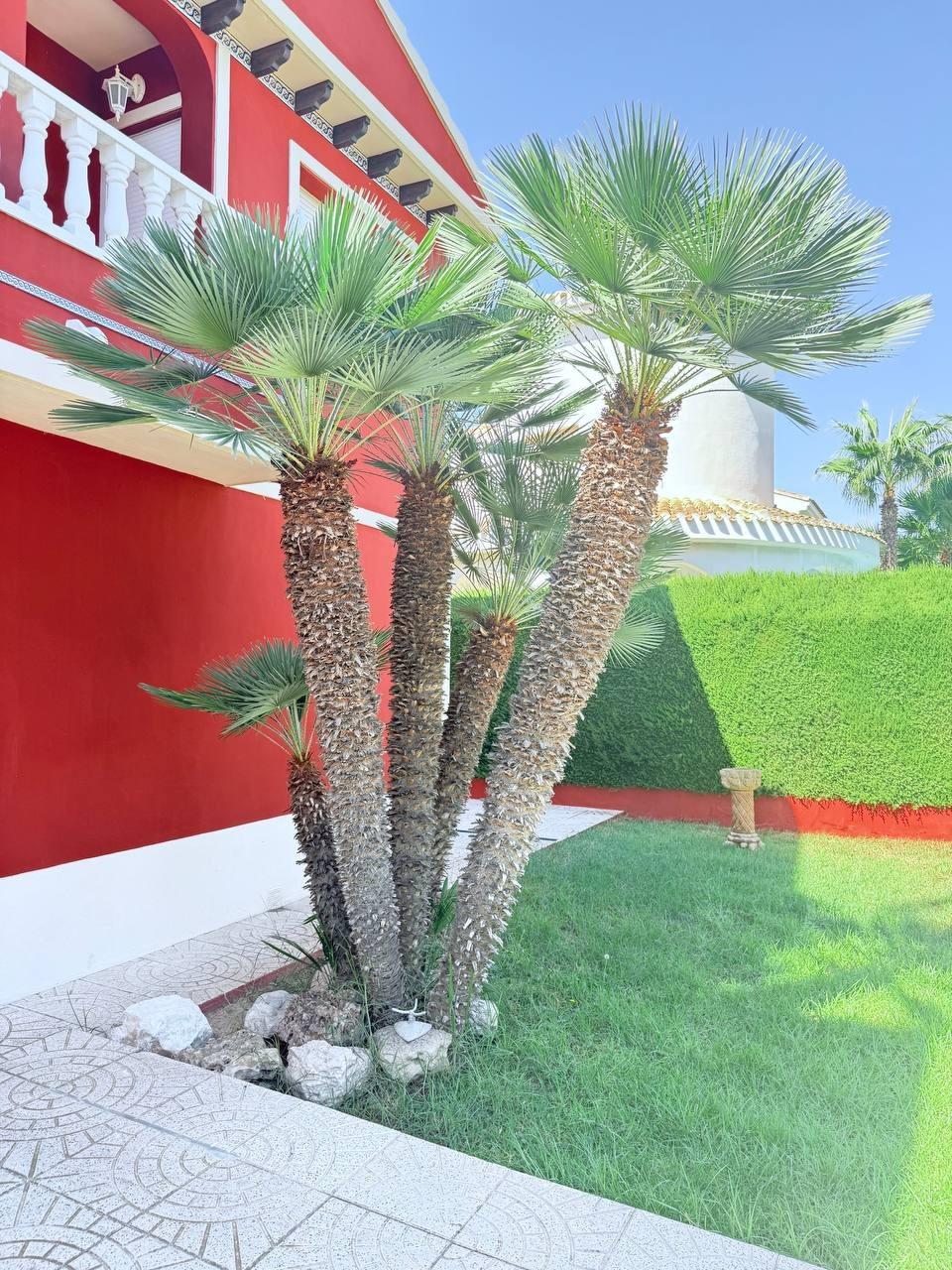 Villa for Sale in Campoamor, Alicante