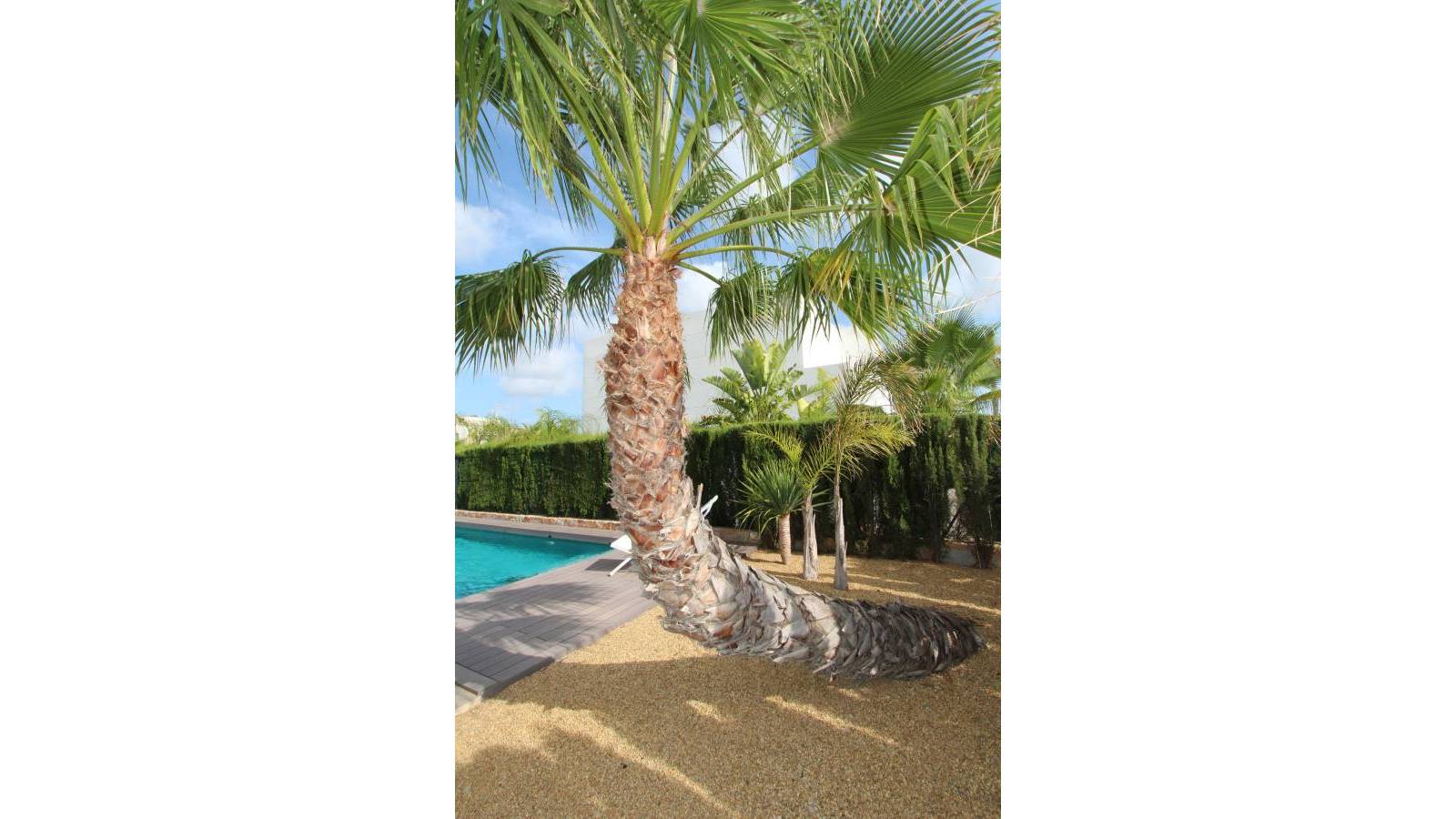 Villa for Sale in Rojales, Alicante