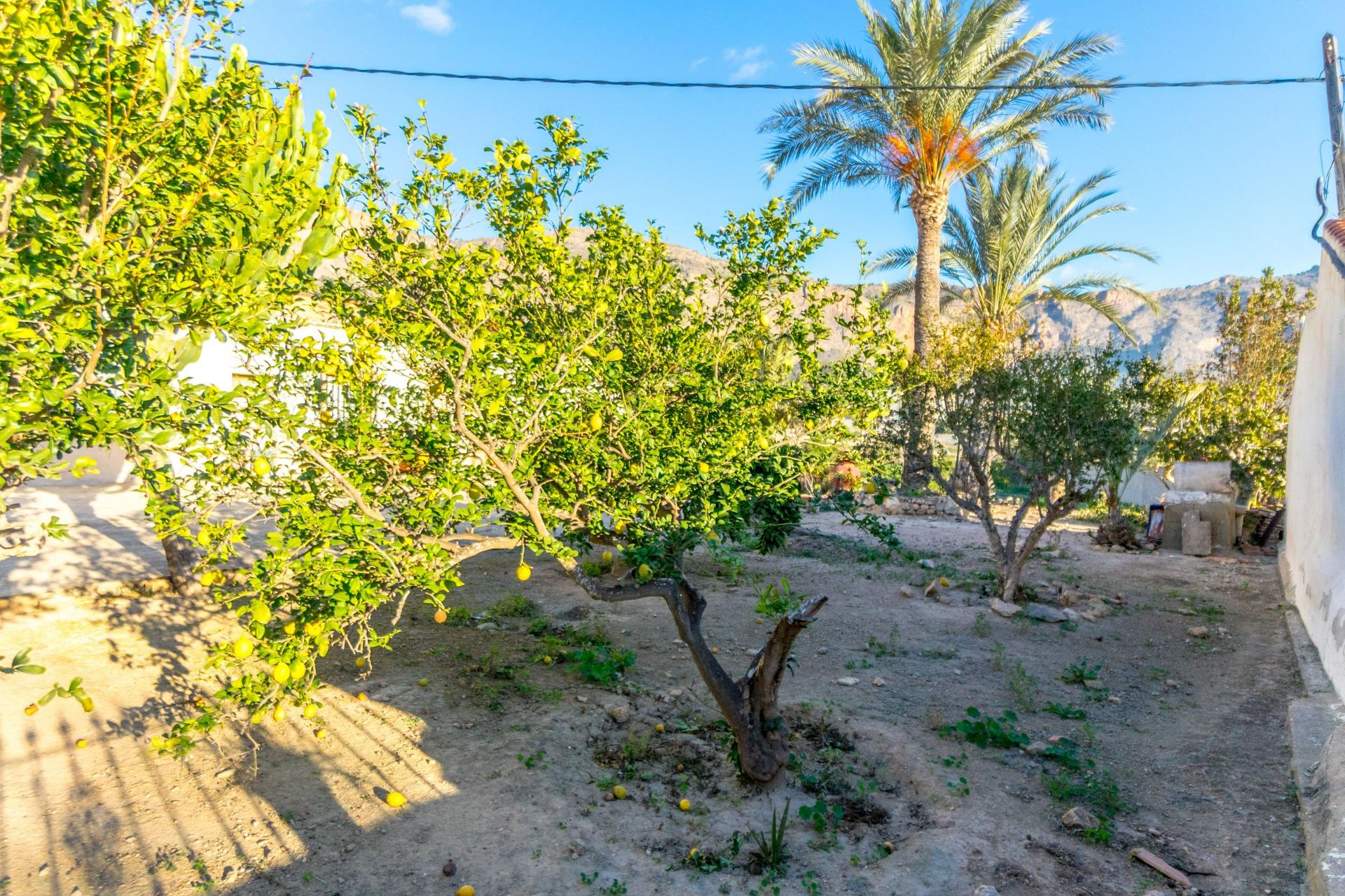 Finca for Sale in Orihuela, Alicante