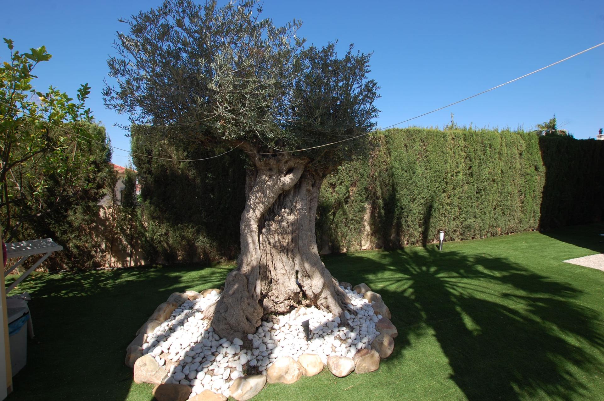 Villa for Sale in Ciudad Quesada, Alicante