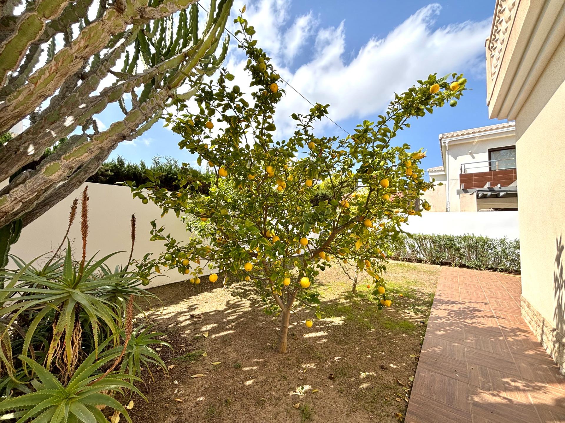 Villa for Sale in Cabo Roig, Alicante