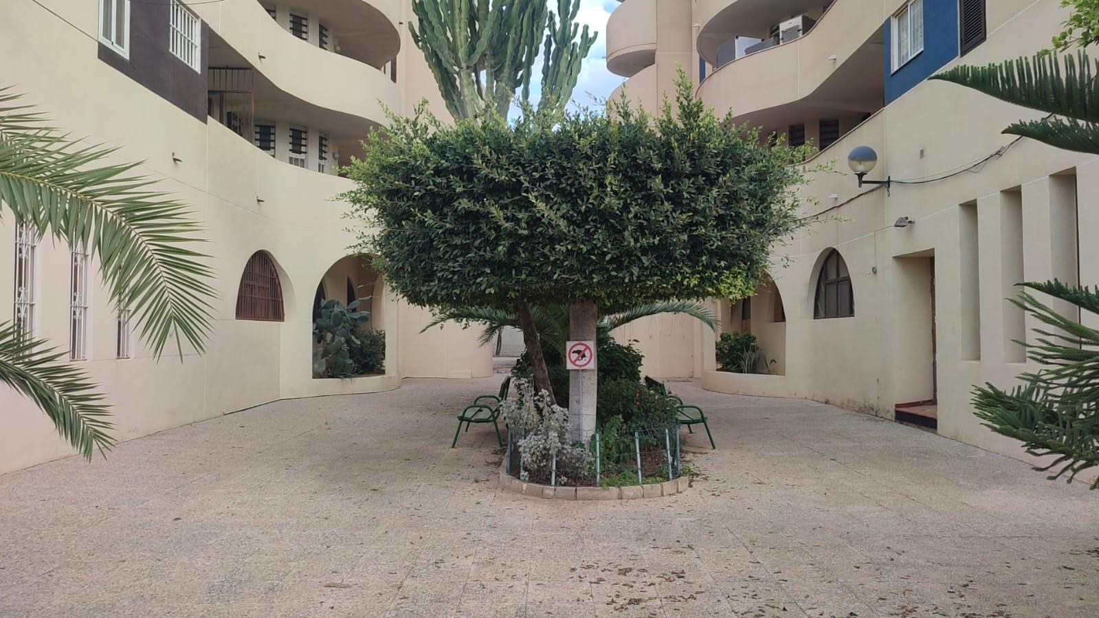 Apartment for Sale in Torrevieja, Alicante