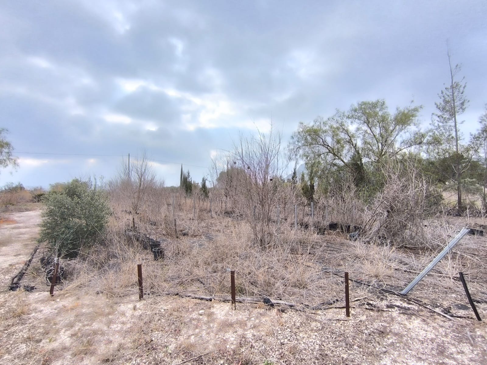 Commercial for Sale in Aspe, Alicante