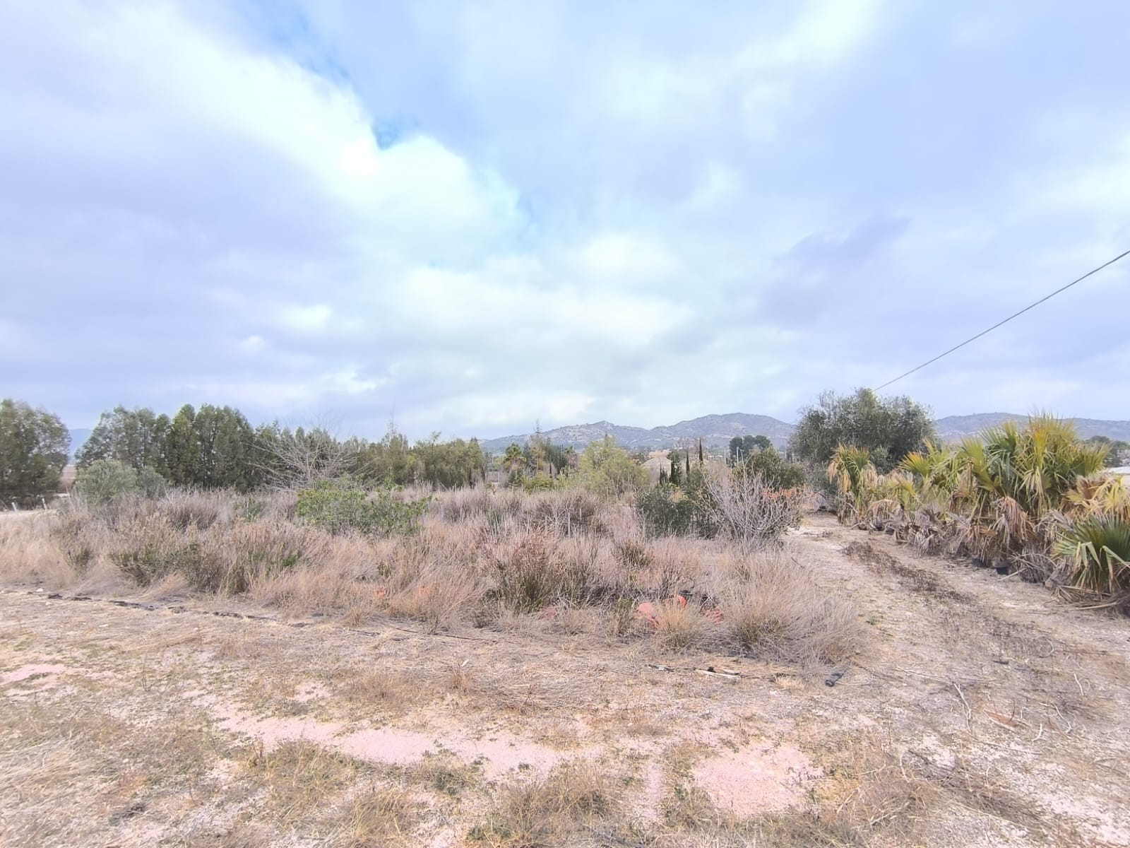 Commercial for Sale in Aspe, Alicante