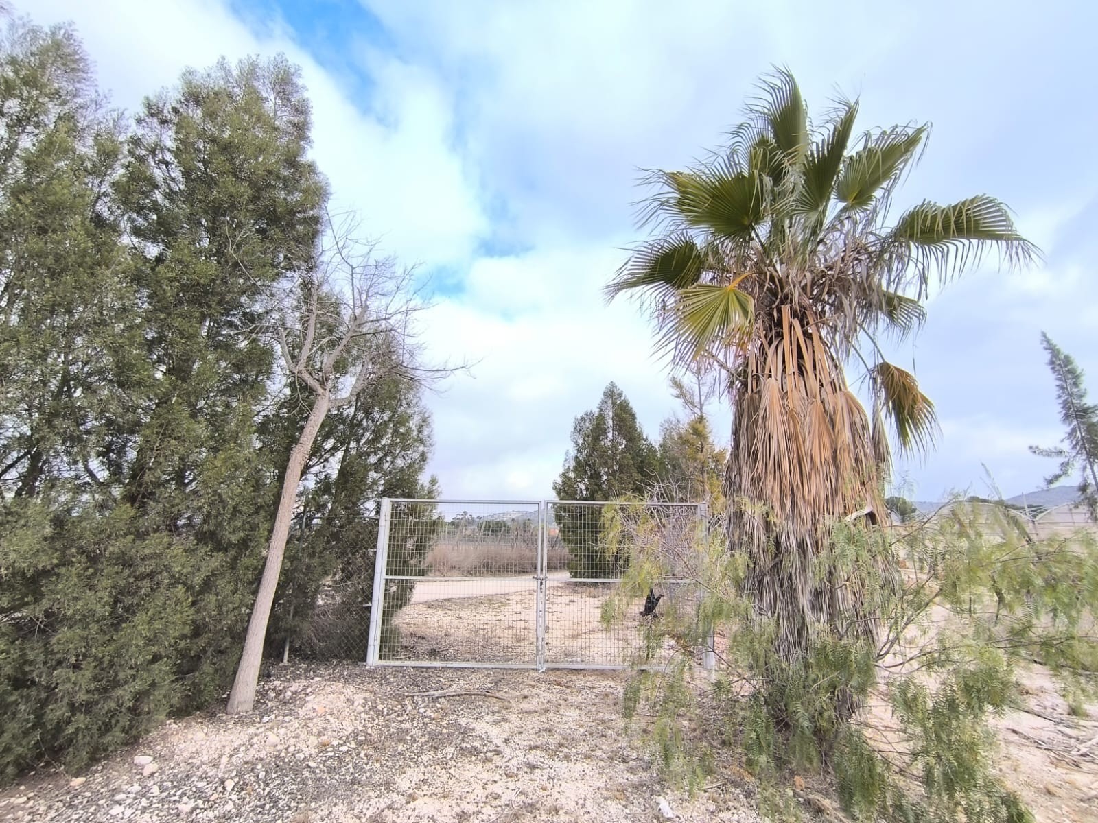 Commercial for Sale in Aspe, Alicante