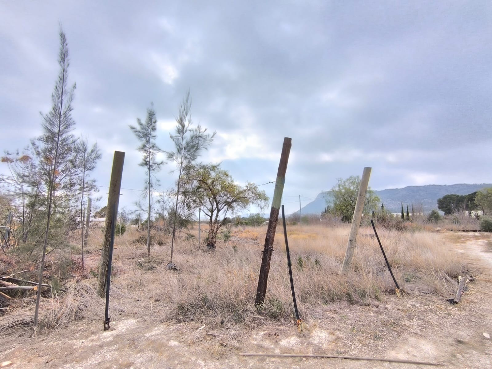 Commercial for Sale in Aspe, Alicante