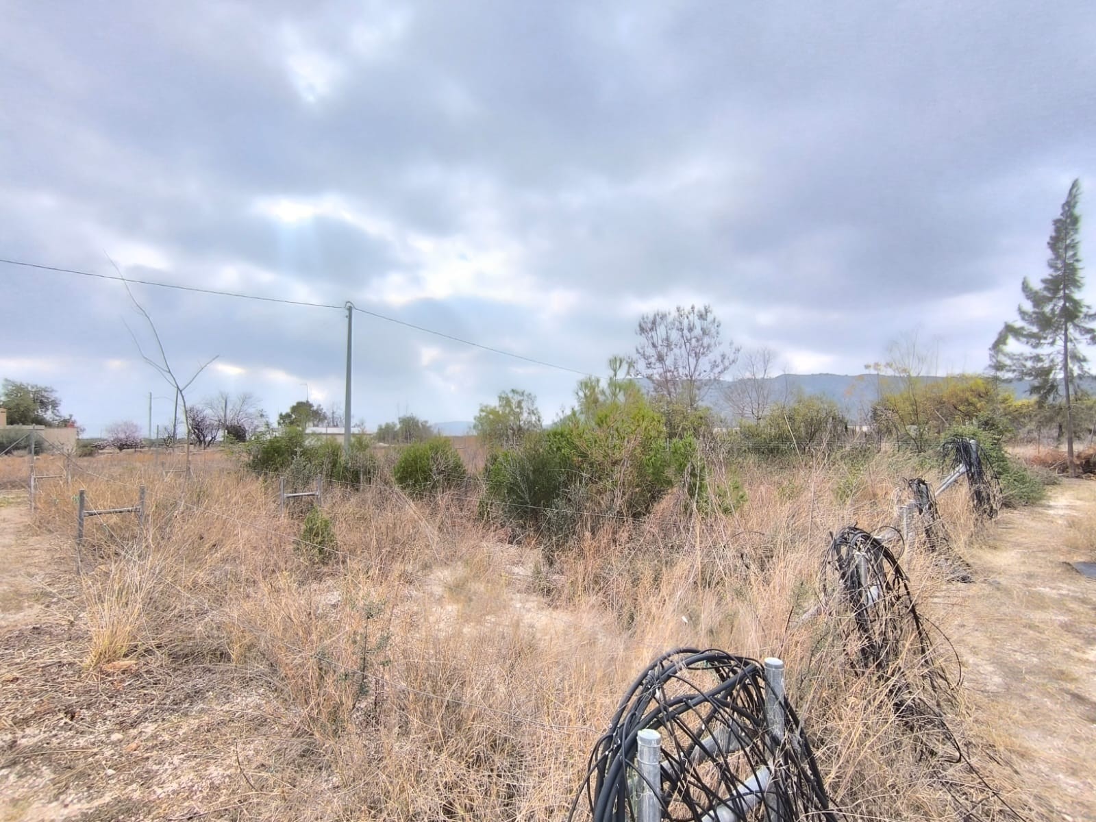 Commercial for Sale in Aspe, Alicante
