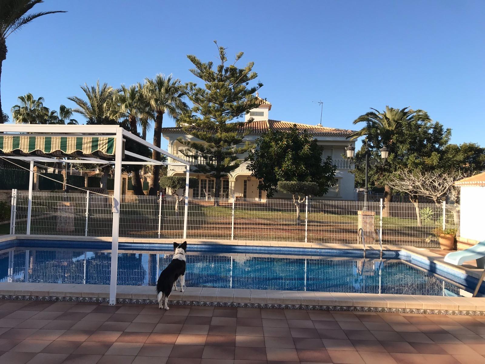 Villa for Sale in Orihuela Costa, Alicante