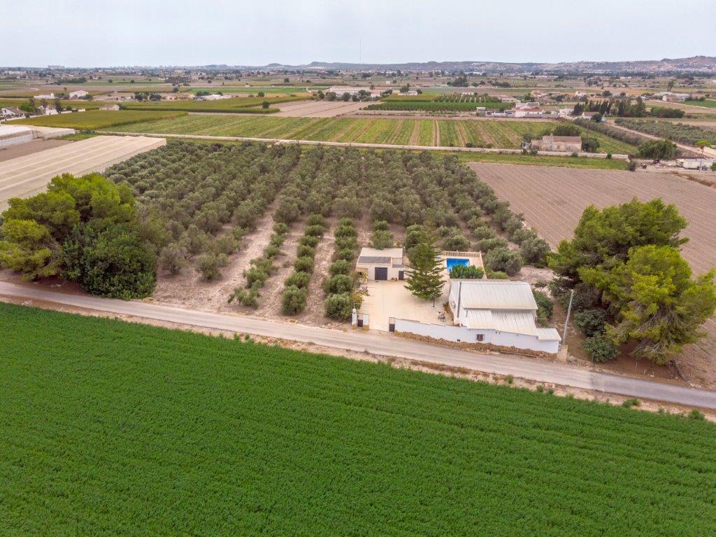 Country House for Sale in Dolores, Alicante