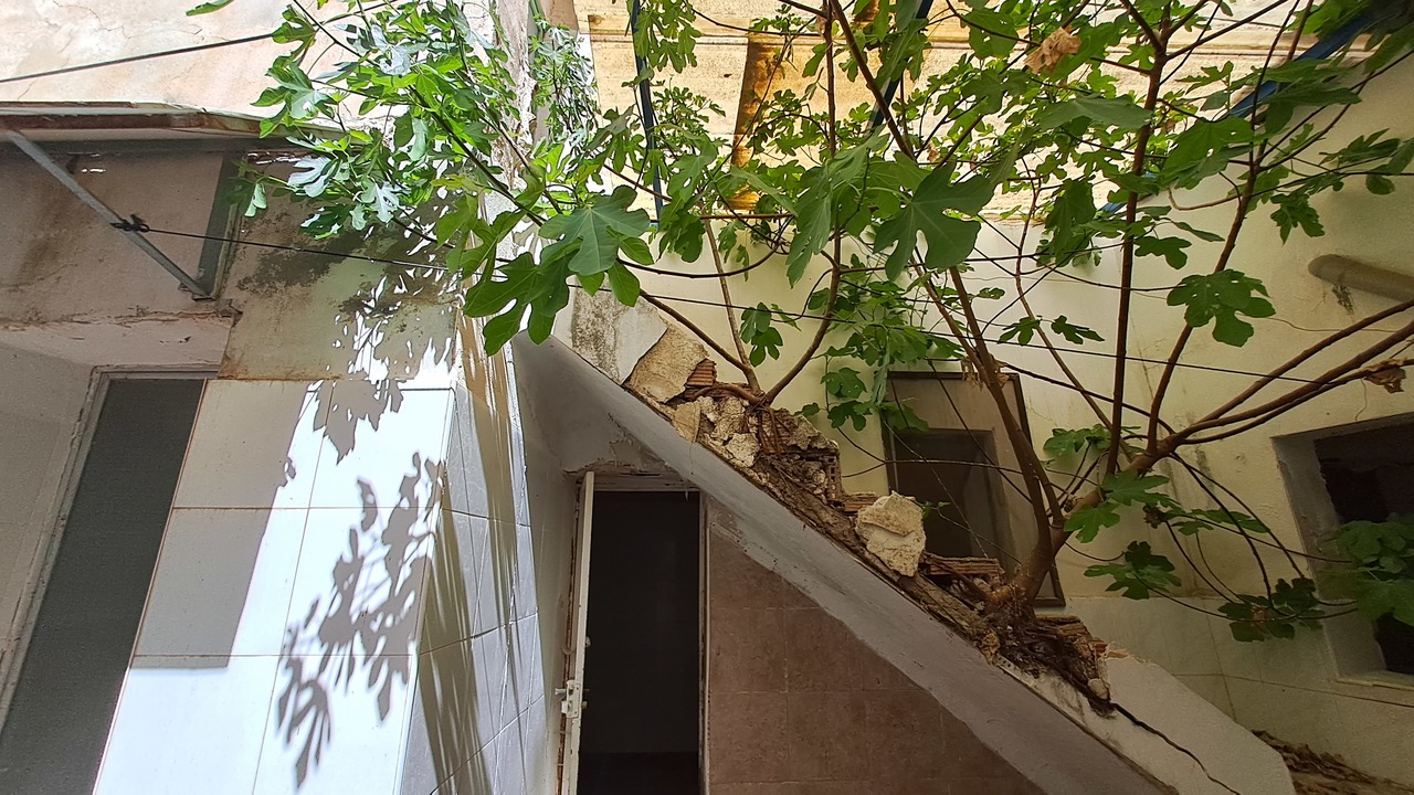 Commercial for Sale in Orihuela, Alicante