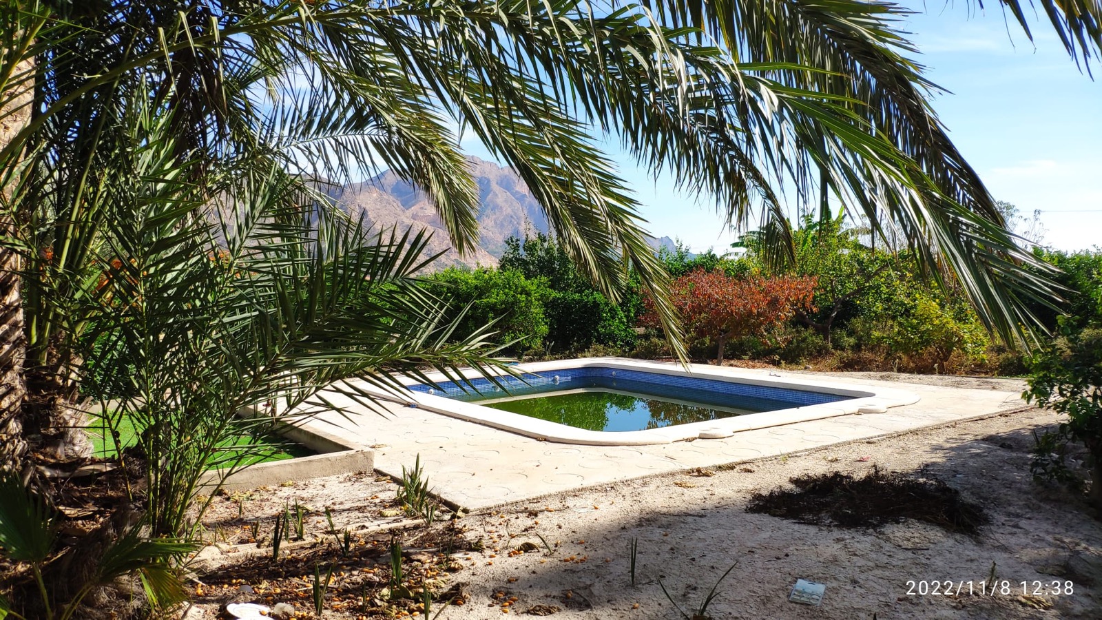 Villa for Sale in Redovan, Alicante