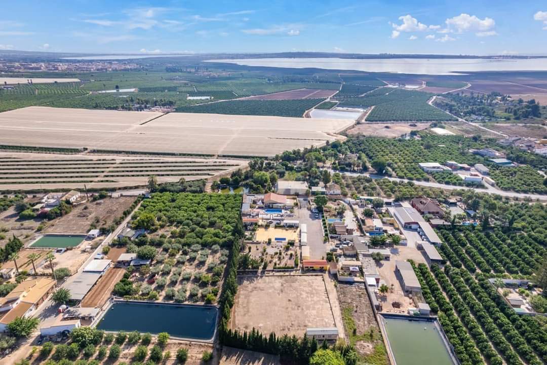 Finca for Sale in Los Montesinos, Alicante