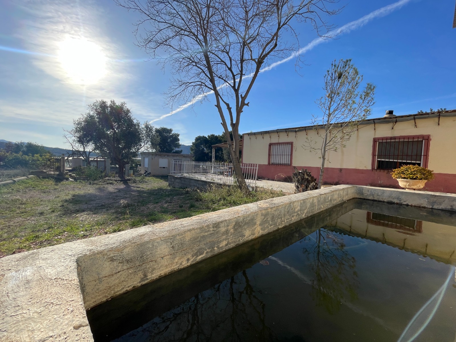 Finca / Country Property for sale in Aspe
