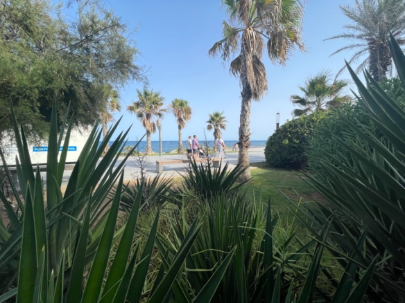 Torrevieia - COM1407