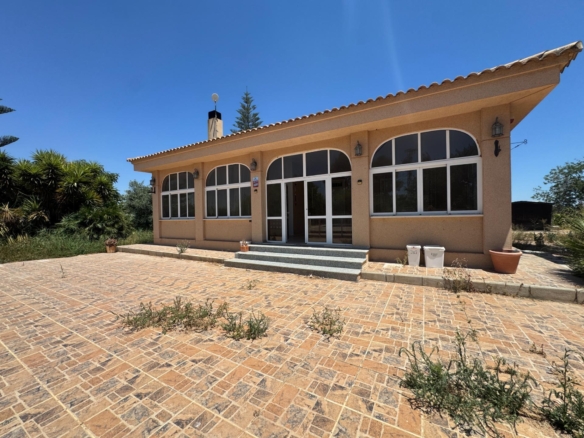Finca in Dolores – YC503980