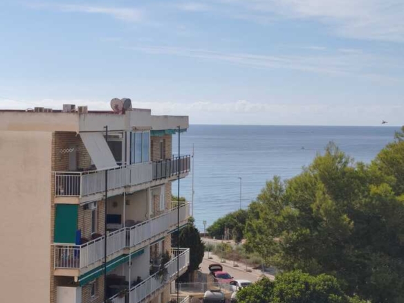 Apartment Penthouse in Punta Prima – YC503989
