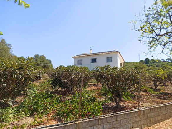 Finca in Estepona – YC799653