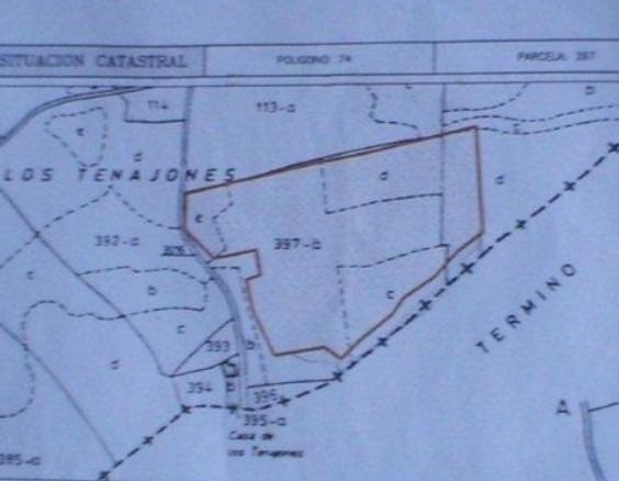 Land in Abanilla – YC800274