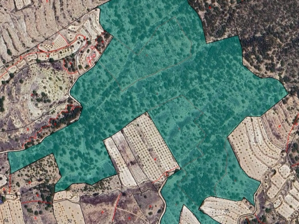 Land in Monóvar/Monóver – YC800953