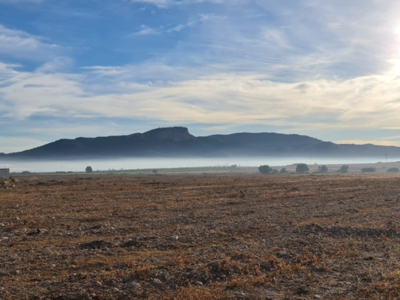 Land in Monóvar/Monóver – YC801180