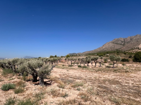 Land in Macisvenda – YC801614