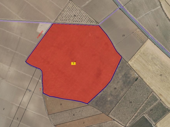 Land in Yecla – YC801741