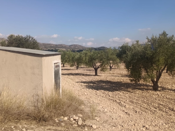 Land in Salinas – YC802256