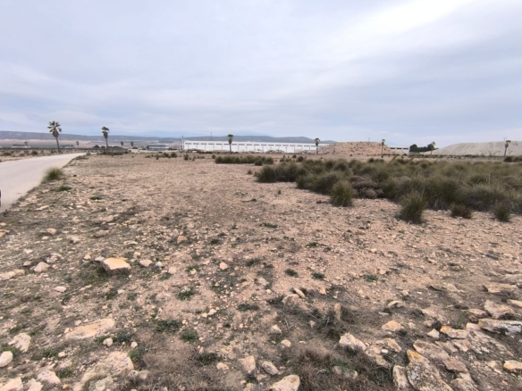 Land in Yecla – YC802325