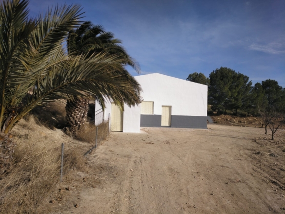 Commercial in Yecla – YC802336