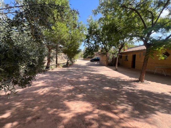 Commercial in Abanilla – YC802415