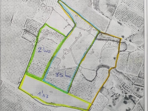 Land in Pinoso – YC802507