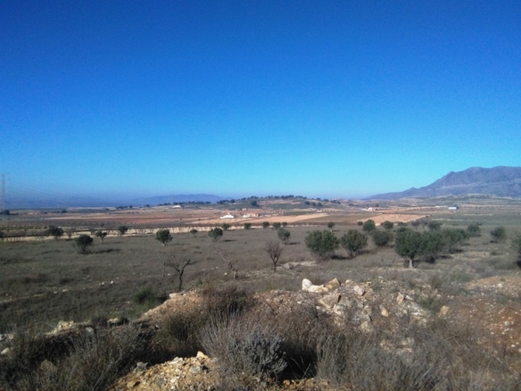 Land in Torre Del Rico – YC802542