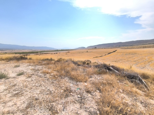 Country House in Jumilla – YC802622