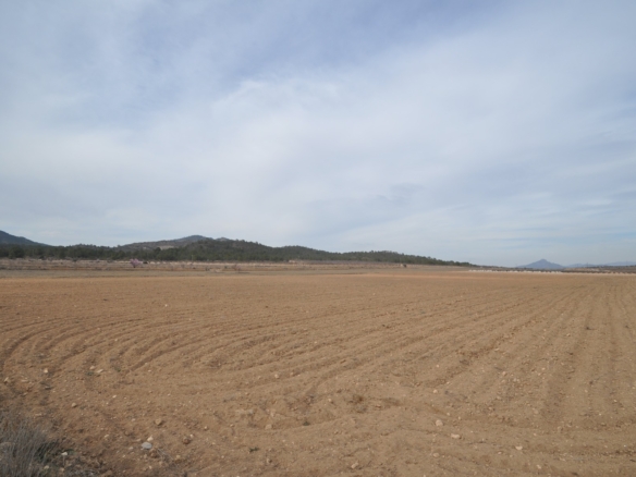 Land in Monóvar/Monóver – YC802763