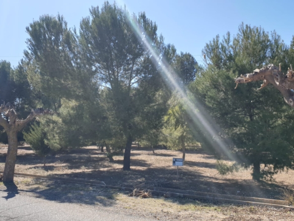 Land in Beneixama – YC802992