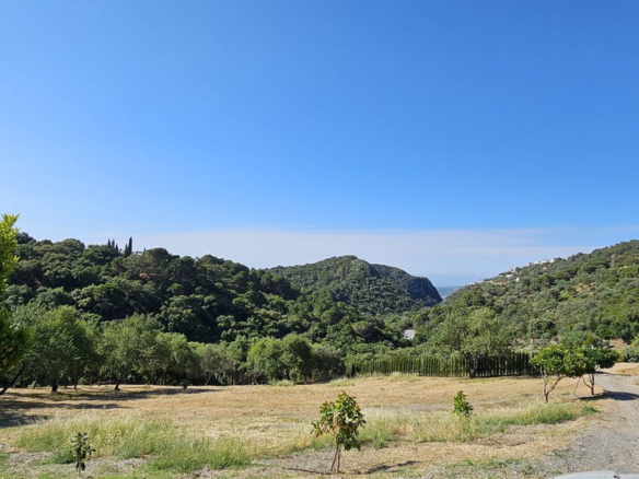 Land in Casares – YC805255