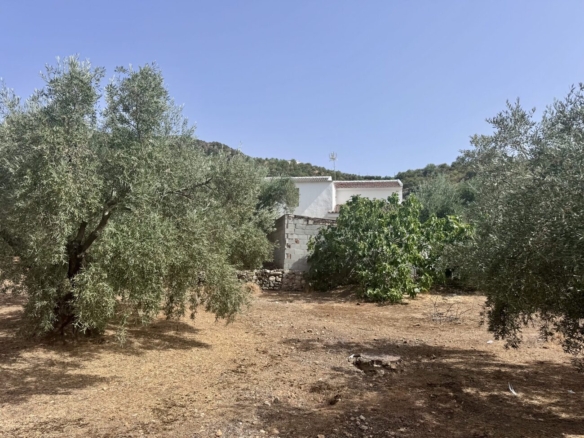 Finca in Iznájar – YC809741