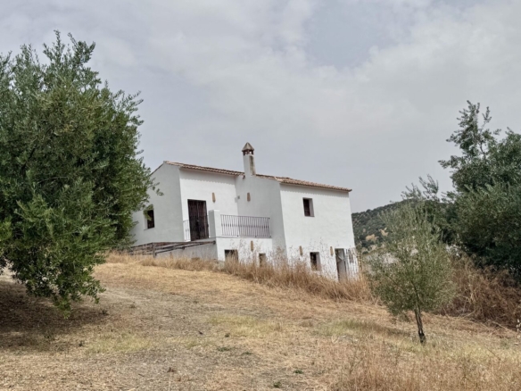 Finca Penthouse in Algarinejo – YC809761