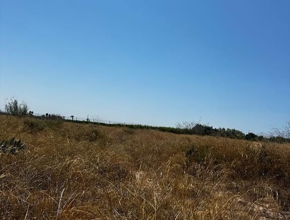 Land in Elche – YC810297